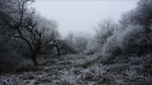nevillen:  Agalloch - Celestial Effigy 