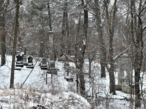 Allegheny Cemetery 1-31-21-21