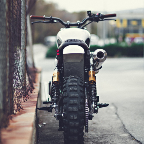 habermannandsons:  Scrambler