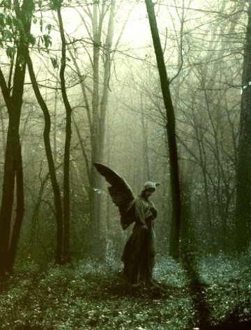 Forest Angel, The Ozarks, Missouri