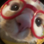 minnowink