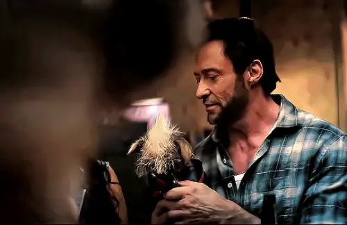 Logan (2017) / Deadpool & Wolverine (2024) / Birds Of A Feather - Billie Eilish