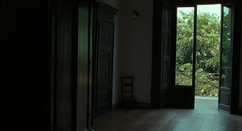 thelittlefreakazoidthatcould: Call Me by Your Name (2017) // dir. Luca Guadagnino