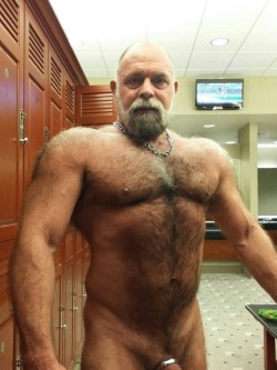 Musclebears & Co.