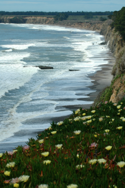 expressions-of-nature:  sweeping vista / Pacific Coast Highway : Kelsana