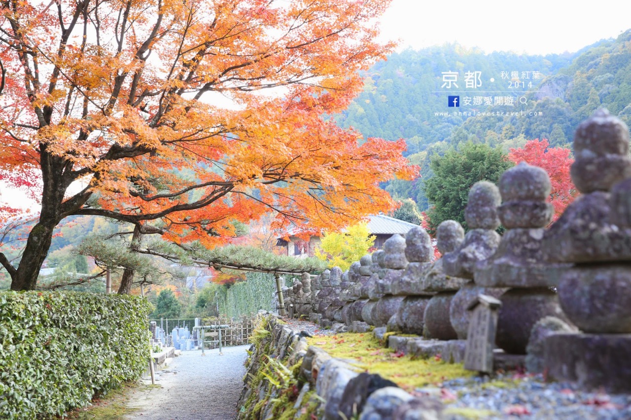 安娜愛閒遊 15 京都紅葉 追楓小貼士