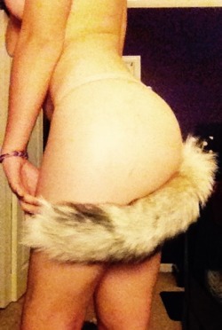 submissive-wolf17-blog-blog:  This kitten is loving her fluffy tail 😻 @the-fabulous-mr-fox  (Please don’t remove caption) 