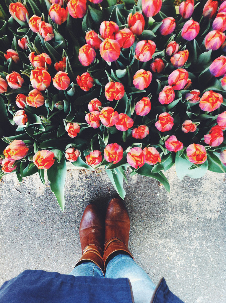 floralls:  (by Petrana Sekula) 
