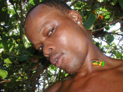 mburo-me:  jamaicanbamboo:  Jamaican Bamboo: