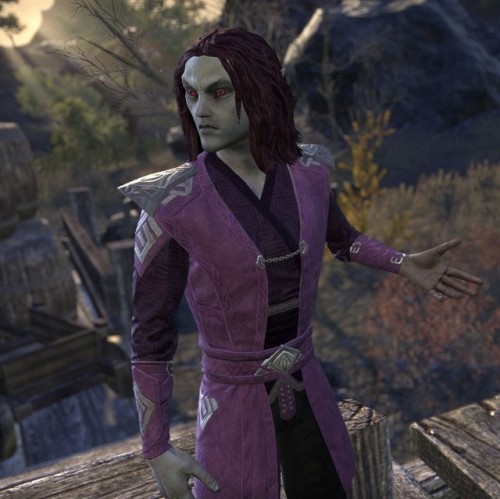 frostfallarcher: ESO Elves I LOVEPart Three “I’m a natural disaster masquerading as