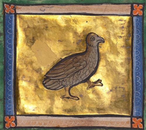 thegetty:A Hoopoe, Goose, Partridge, Peacock, Heron, Caladrius Bird, Phoenix, Night Heron, and Swan 