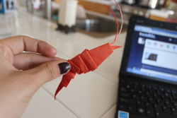 p-xar:  muggleb4be:  my shrimp origami baby !