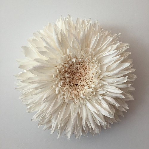 Porn photo itscolossal:  New Giant Paper Flower Sculptures