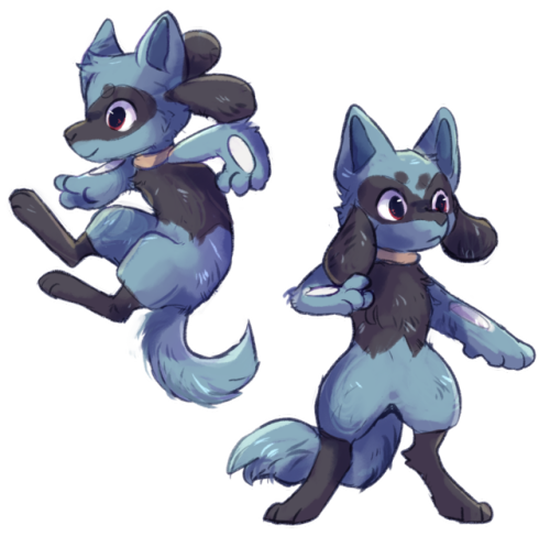 riolu doobles