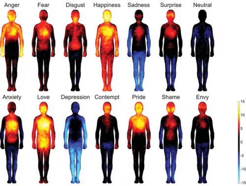 scienceisbeauty:Maps of bodily sensations associated with different emotions. Hot colors show activa