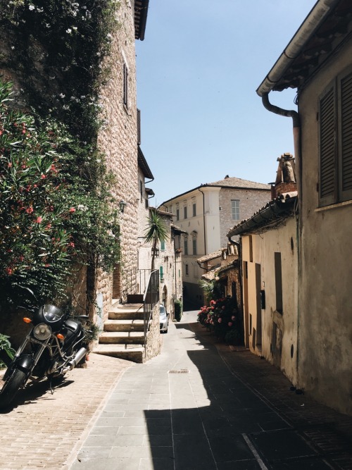 dissolvinggg:I miss Italy and rosé