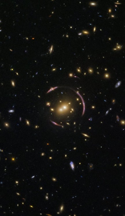 chibinotan - Light Bending Cluster and Einstein Ring