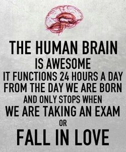 Ain&rsquo;t that so&hellip;
