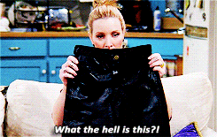 princesconsuela:  So uh, Pheebs, honey, how are those mood swings coming? 