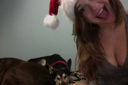 mvryjane:  Fake christmas enthusiasm w/ the doggies 