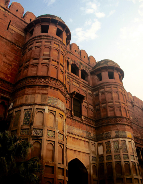 wanderthewood:Agra Fort, Uttar Pradesh, India by David-Gifford