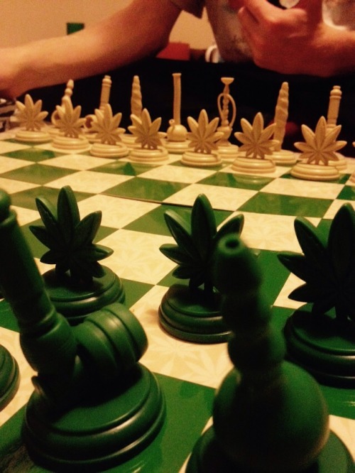 thesuicidal-stoner:  Best chess set ever.❤️