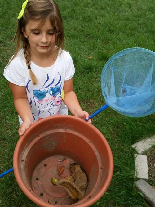 trainhardbestrong: hannahroad:  hannahroad:  hannahroad:  Miley: “Dad I have something for Tanners bug collection” my uncle: “that’s great” Miley: “it’s a bird” my uncle: “no its not” -chirping noise- They let it go and it flew away
