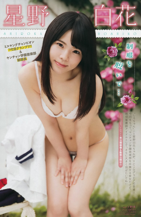 Shiroka Hoshino