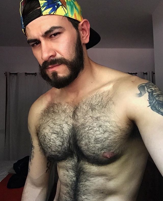 panda_bear34