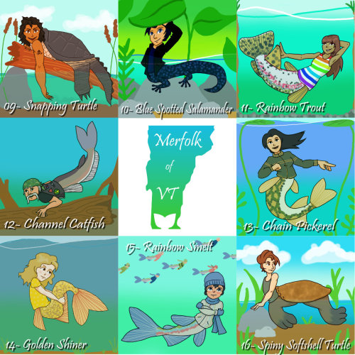 For MerMay This Year I Collected A List Of 31 Fish/mostly Aquatic Animals That Live In Vermont To Create