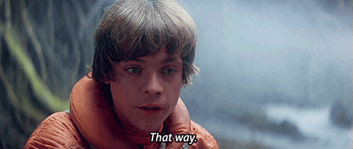 theadmiress:  Mark Hamill  He’s just adorable.  