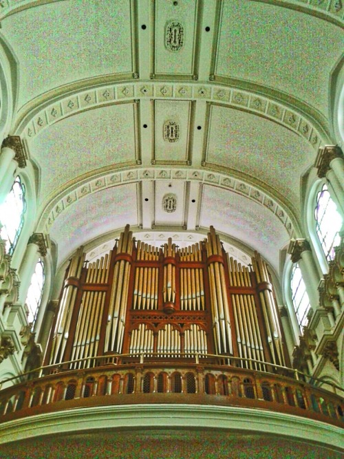 I wandered into this church today. There were plenty of empty benches, perfect for prayer. There were also plenty of empty confessionals, perfect for fucking.