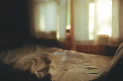 noctrem:  nest freelensed by still night,