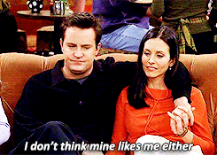 friends gifs