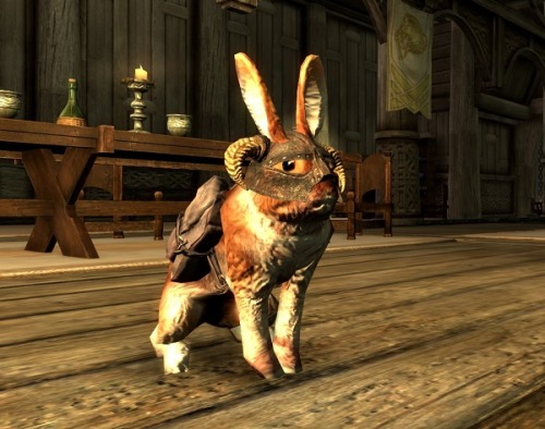 lifeinskyrim:  This is a mod called Dovahbit, in which the bunny is your companion.  You can give him different hats.  It’s ridiculously adorable.
