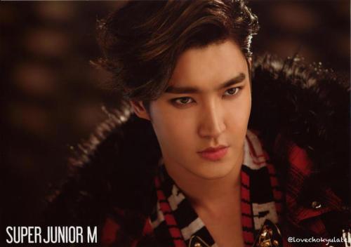 SJM Breakdown Photo Set Scan cr:lovechokyulate