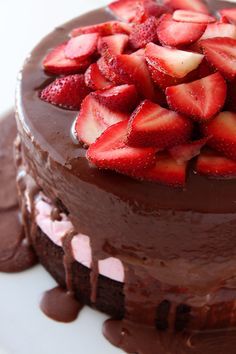 (From the Major)&ldquo;Um… Happy Valentine’s Day,&rdquo; he said, face red and holding the cake he’d made. &mdash;-Jean made a small sound at the cake, took it and pulled Edward into the tightest possible hug he could give.