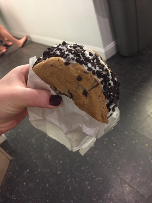 sunfl0wersoul:  runfitlove:  jewsquats:  My friend got this homemade chip which and im debating on whether to get that or something else BUT IDK WHAT I WANT HELP SOS  JESUS CHRIST I WANT THAT  These are my favorite types of icecream sandwiches. 