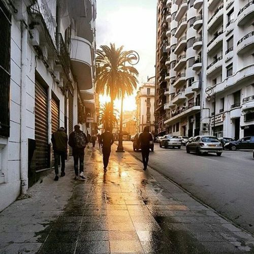 Cool guys shine bright like diamondsThanks a lot to for this beautiful photo @karim_taleb #Algiers