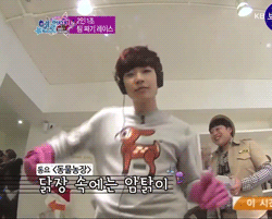 the k-pop fanboy