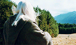 faramihr:make me choose:↳ sonsoferebor asked: bill the pony or shadowfax?He is the chief of the Mear