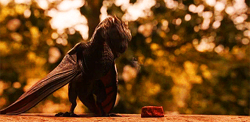 iadoredaenerys:  Drogon. 