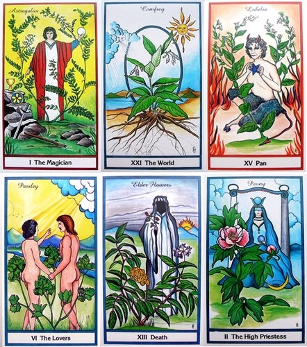 poisonerspath:  This is a must have for me. I haven’t always felt drawn to the Tarot, however 