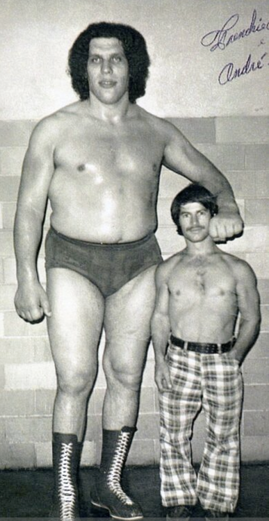 André the giant (André René Roussimoff)