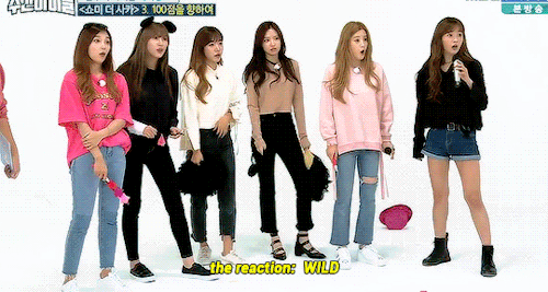 xhownu:  only legends like apink could score a 100 by screaming loudly to the mic 