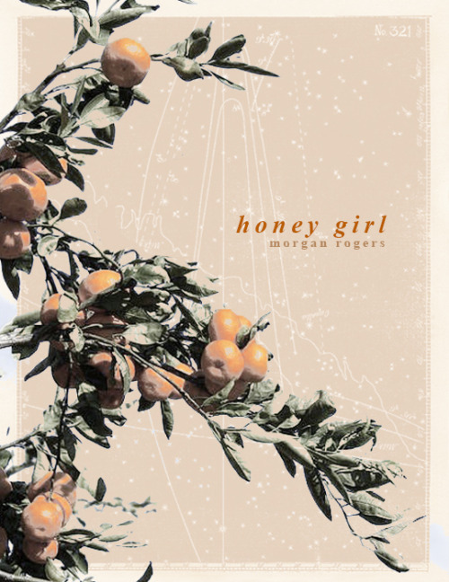 selwynkane: @storyseekers event 10 : written by a black author — alternate covers + honey girl by mo