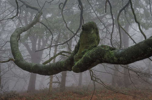 Levitation by PicFreak42 on Flickr.