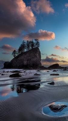 fractiousmind:Second Beach twilight at Olympic