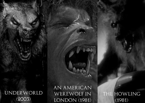 Werewolves In Cinema