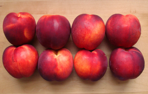 rawrveganrawr:  I was so happy to have these beautiful ripe nectarines as part of my breakfast feast this morning! ♥